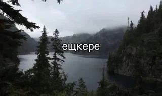 🌟 Гослинг, стикер Telegram 22 из 120