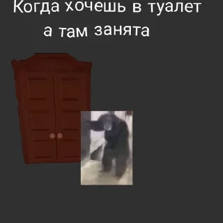 Doors But, MEME @KRPD2