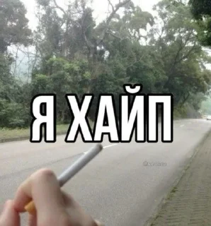 😜 го рофлить, стикер Telegram 21 из 70