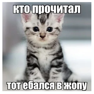 💗 Секс, стикер Telegram 19 из 26