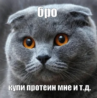 я спортик ( by khadizha )