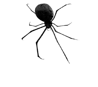 🕷 By.dilie, Telegram sticker 12 of 23