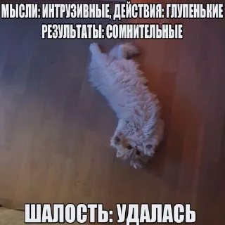 😁 НОРМИС (Цири), Telegram sticker 5 of 118