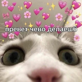 💗 @teawlemon / cute 🎀 ୧ ₊❀˚, Telegram sticker 15 of 32