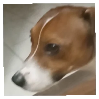 😡 Полькина эстетика, Telegram sticker 22 of 26