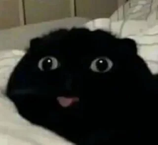 😳 хуйлуши бьют баклуши, Telegram sticker 20 of 34