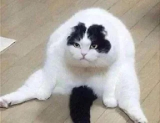 🙁 хуйлуши бьют баклуши, Telegram sticker 22 of 34