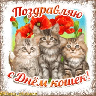 😽 @Elena_stickers Праздники августа, кроме Спасов, Telegram sticker 15 of 50