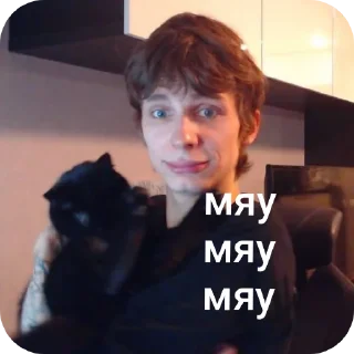 🐶 на каждый день-твич, sticker Telegram 16 sur 87