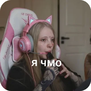 🎢 на каждый день-твич, sticker Telegram 17 sur 87