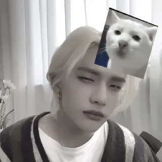 << 𝐇𝐘𝐔𝐍𝐉𝐈𝐍 ャ ˖ || @amphibiastickers
