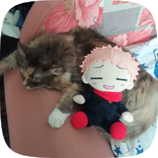 🐱 плюш етадоре, стикер Telegram 10 из 43