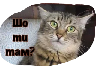 Катюня стайл