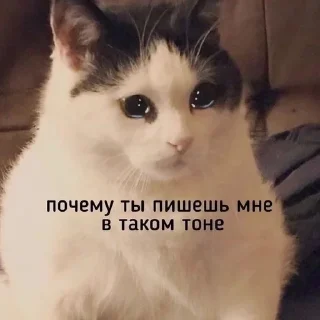 💗 Китеки, sticker Telegram 6 sur 73