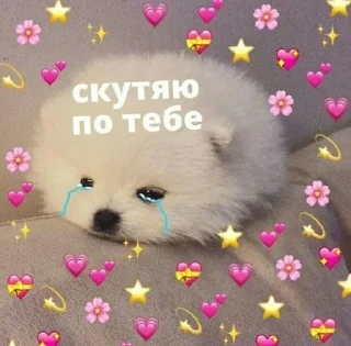 😢 Настюша, стікер Telegram 13 з 48