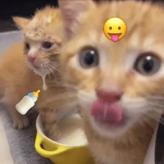 😺 🧃сульфатна кислота🫧, стікер Telegram 9 з 102