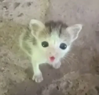 😦 🧃сульфатна кислота🫧, стікер Telegram 10 з 102