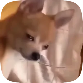 🥹 memes, Telegram sticker 6 of 20