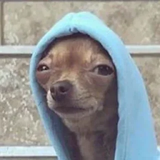 😑 Без названия❤️, Telegram sticker 6 of 40