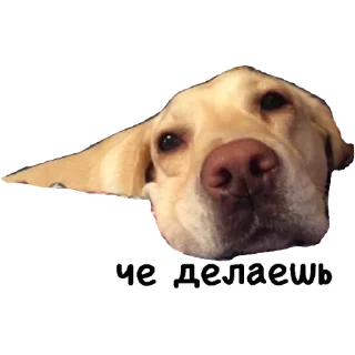 🙄 Actual, Telegram sticker 9 of 54