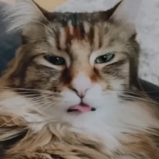 😒 Без названия❤️, Telegram sticker 23 of 40