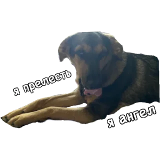 😇 Actual, Telegram sticker 13 of 54