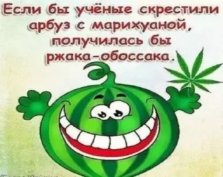 🤣 общаемся без мата, Telegram sticker 24 of 97