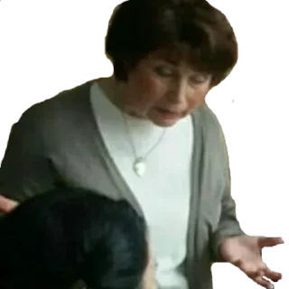 👩‍👧 Житомирський стандарт, стикер Telegram 9 из 111