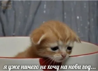 😞 жизнь, sticker Telegram 9 sur 32