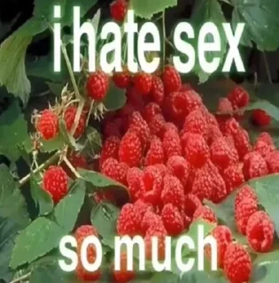 😡 У рыжих нет души, Telegram sticker 7 of 26