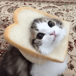 🍞 ❤️, Telegram sticker 22 of 51