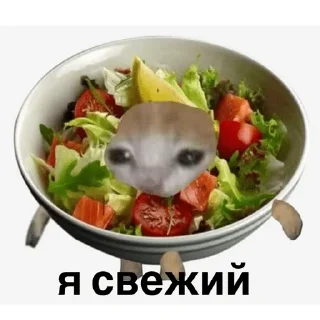 🤩 от Эйс, sticker Telegram 5 sur 11
