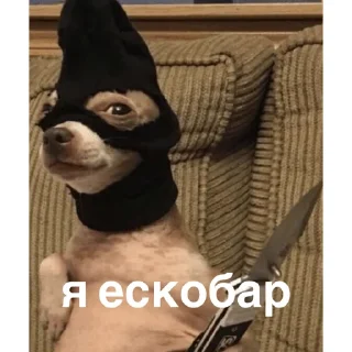 😎 от Эйс, sticker Telegram 7 sur 11
