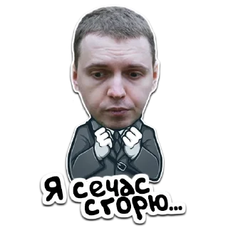 ➖ (@StickerHyicker) Папич, sticker Telegram 17 sur 20