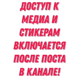 📷 Для админов, стикер Telegram 6 из 22