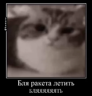 🌟 Український Komaru, стикер Telegram 23 из 50
