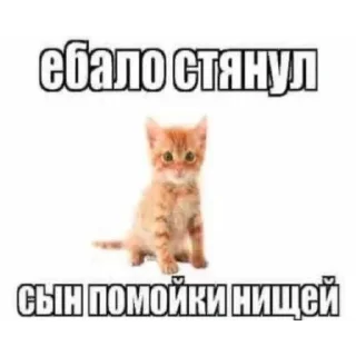 😡 Обэмэ черный, стікер Telegram 10 з 94