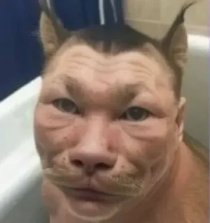 Da poebat mne