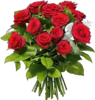 🌟 🌹 by @KQnjm7y, Telegram sticker 8 of 13