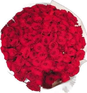 🌟 🌹 by @KQnjm7y, Telegram sticker 11 of 13