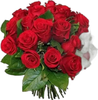 🌟 🌹 by @KQnjm7y, Telegram sticker 10 of 13