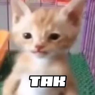 ✅ шось by @shpthfu, стікер Telegram 8 з 44