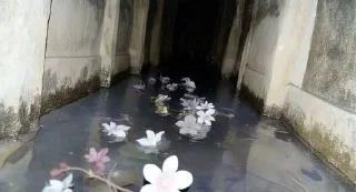 @flowersyuin