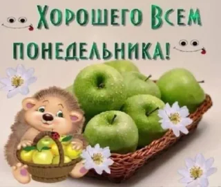 НЕ ВОРУЙ СТИКИ У ПУПСА ДАУН @Tgthemstickbot