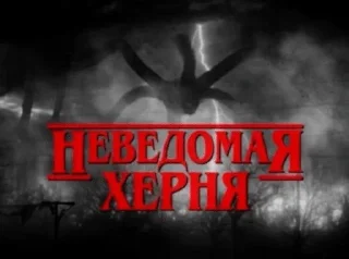 😱 Мемы 🌸, стікер Telegram 9 з 31