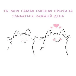 🌟 Хах,пон, sticker Telegram 10 sur 16