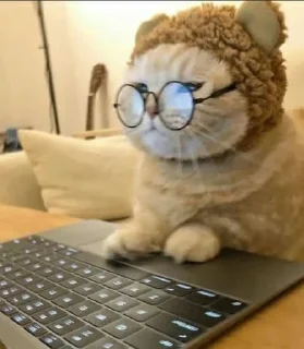 🤓 sweet pussy, Telegram sticker 18 of 58
