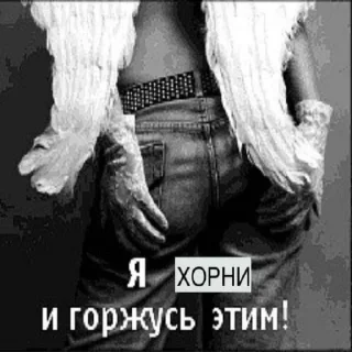 😎 Унгало Чебоксары 5:это еще не конец, Telegram sticker 15 of 120