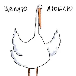 🥰 Гусь, стікер Telegram 8 з 31