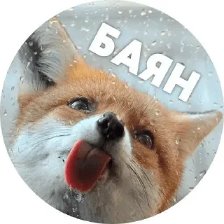 🌟 LisaNika, стікер Telegram 8 з 28